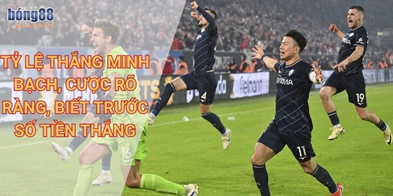 Kèo Châu Âu Bong88 là gì? Cách đọc và các mẹo chơi chi tiết, hiệu quả 2 Tỷ lệ thắng minh bạch, cược rõ ràng, biết trước số tiền thắng